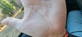 Enlarge photo 135