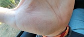 Enlarge photo 137