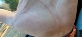 Enlarge photo 138