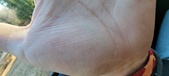 Enlarge photo 142
