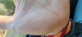 Enlarge photo 141