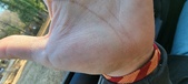 Enlarge photo 140