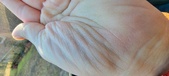 Enlarge photo 139