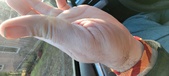 Enlarge photo 143