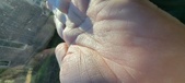 Enlarge photo 144