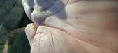 Enlarge photo 145