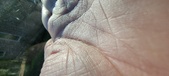 Enlarge photo 146