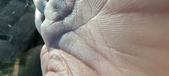 Enlarge photo 150
