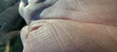 Enlarge photo 149