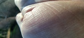 Enlarge photo 148