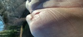 Enlarge photo 147