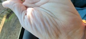 Enlarge photo 151