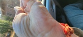 Enlarge photo 152