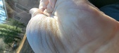 Enlarge photo 153
