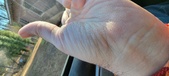 Enlarge photo 154