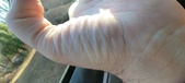 Enlarge photo 158