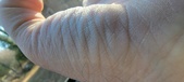 Enlarge photo 157