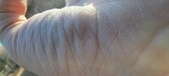 Enlarge photo 156