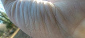Enlarge photo 155