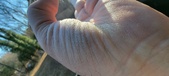 Enlarge photo 159