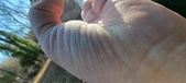 Enlarge photo 160