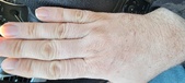 Enlarge photo 161