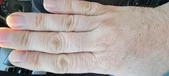 Enlarge photo 162