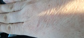 Enlarge photo 165
