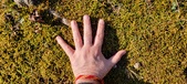 Enlarge photo 170