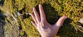 Enlarge photo 174