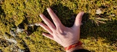 Enlarge photo 173