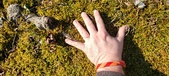 Enlarge photo 172