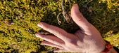 Enlarge photo 175