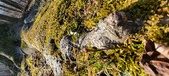 Enlarge photo 178