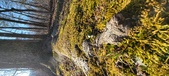 Enlarge photo 182