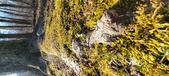 Enlarge photo 181