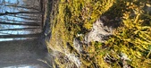 Enlarge photo 180