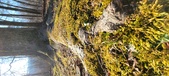 Enlarge photo 179