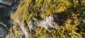 Enlarge photo 183