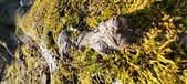 Enlarge photo 184