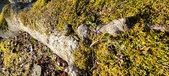 Enlarge photo 185