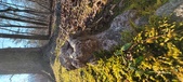 Enlarge photo 189