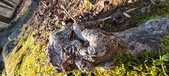 Enlarge photo 188