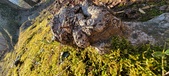 Enlarge photo 187