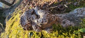 Enlarge photo 191