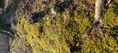 Enlarge photo 194