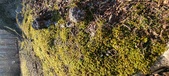 Enlarge photo 198