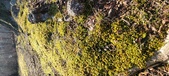 Enlarge photo 197