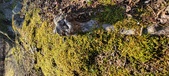 Enlarge photo 196
