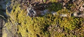 Enlarge photo 195